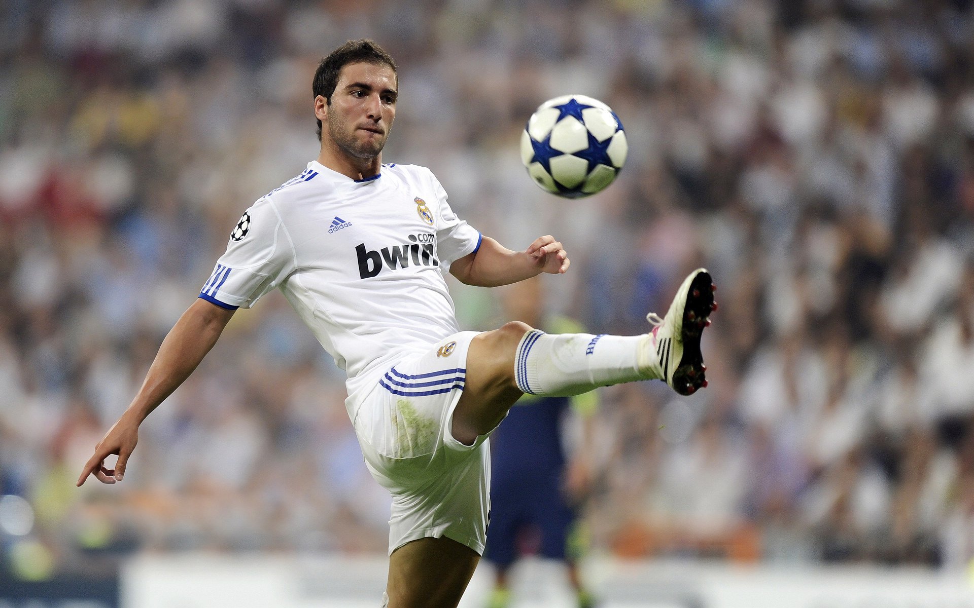 拜仁5-0奥格斯堡,莱万帽子戏法,德甲_拜仁6-0大胜夺冠莱万戴帽